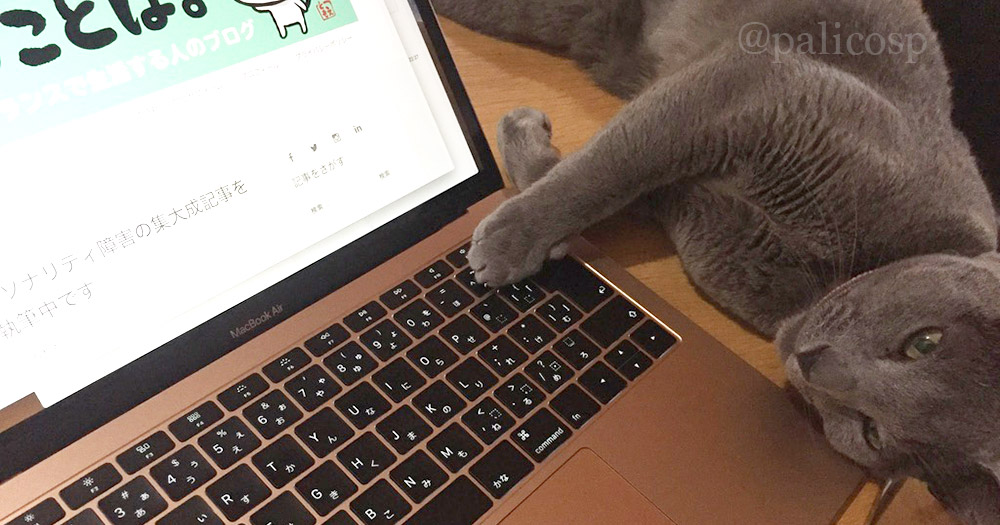 ロシアンブルーの写真