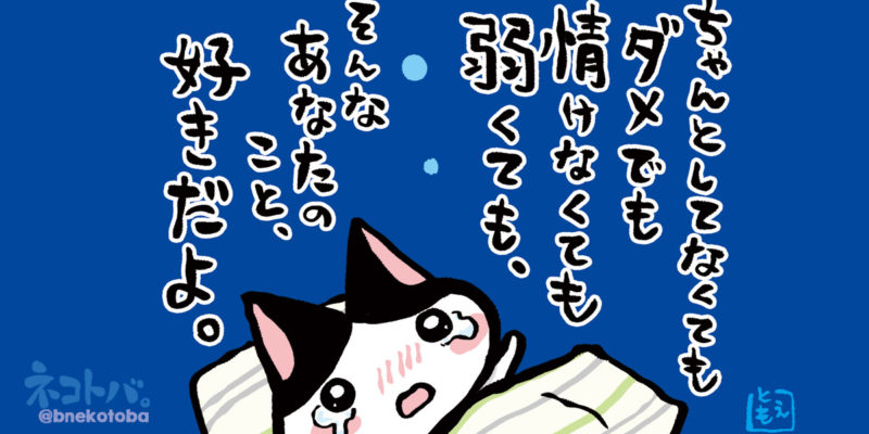 ちゃんとしてないあなたでも大丈夫|ネコトバ。