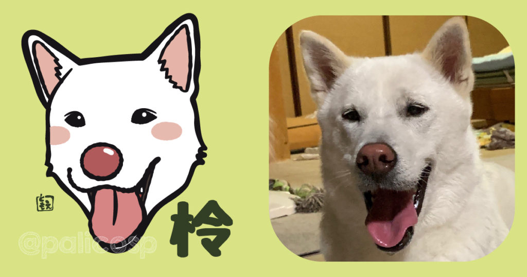 犬似顔絵イラスト|柃