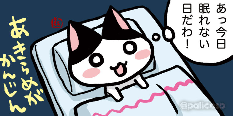 眠れない時は「そういう日だ」とあきらめる