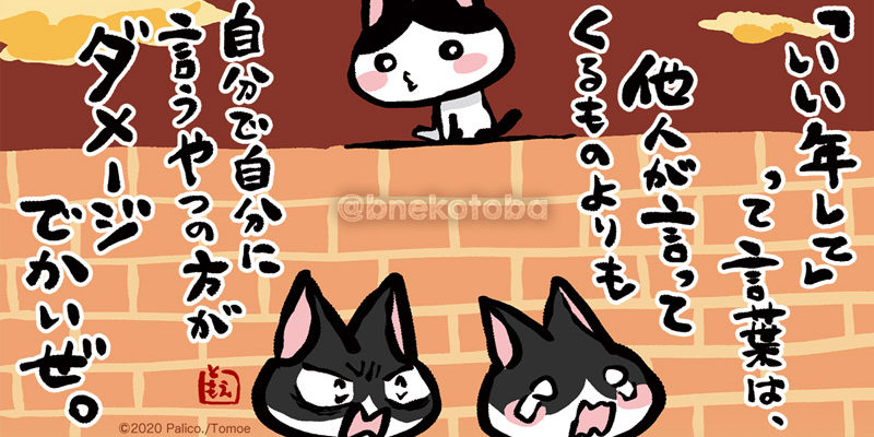 ネコトバ。423